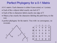 . Phylogenetic Trees Lecture 3 Based on: Durbin et al 7.4; Gusfield ppt download