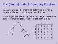 . Phylogenetic Trees Lecture 3 Based on: Durbin et al 7.4; Gusfield ppt download