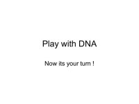 How Are Genes Expressed? Chapter11. DNA codes for proteins, many of which are enzymes. Proteins (enzymes) can be used to make all... 