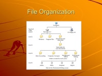 CIS 251 – Lesson 4 File Management and The Internet Rod Rodrigues. -  ppt download