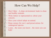 Miss Kathy’s 3rd Grade. Examples of Endangered Species: Spotted Owl Manatee Panda Siberian Tiger Bald Eagle Cheetah. -  ppt... 