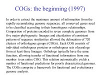 Domain databases and prediction. A domain is a: Compact, semi-independent unit (Richardson, 1981). Stable unit of a protein... 