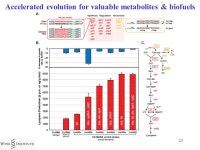 1 9:05-9:35 4-Feb-2009 Wyss Institute for Biologically Inspired Engineering Thanks to: Enabling Technology : Biomaterials... 