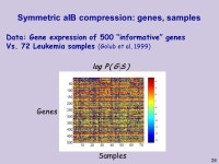 . Multivariate Information Bottleneck Noam Slonim Princeton University Lewis-Sigler Institute for Integrative Genomics Nir... 