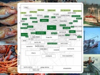 Quantifying tradeoffs between ecology, economy and climate in the Northern California Current Ecosystem Jodie E. Little 1, R.C.... 