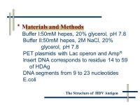 Summer Research Crystallization of the Lysozyme Crystallization of the Lysozyme The Structure of HDV Antigen The Structure of HDV... 