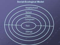 Using Evidence Based Interventions with Culturally Diverse Children and Families: Evidence and Strategies for Engagement David G.... 