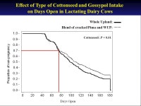 Cottonseed and Gossypol: Effects on Lactation, Reproduction and Health J.E.P. Santos, 1 E.J. DePeters, 2 and P.H. Robinson 2 1... 