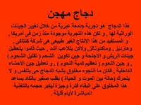 تنبيه هااااااااااااام. دجاج مهجن هذا الدجاج هو تجربة جامعة عبرية من... 