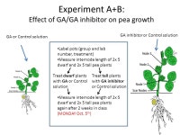 HORT301 Phytohormones. Phytohormones are Naturally produced in plants Chemicals regulating plant growth, development and... 