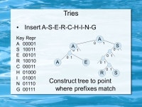Data Structures & Algorithms Radix Search Richard Newman based on slides by S. Sahni and book by R. Sedgewick. -  ppt download