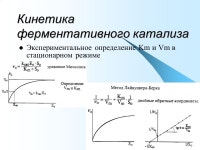 1 Кинетика ферментативного катализа. 2 «Кинетика – дисциплина... 