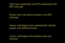 Presented by Dr. Jorge Arévalo Zelada Laboratorio de Biología Molecular y Celular de Tripanosomátidos IMTAvH-UPCH. -  ppt download