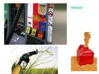 Energy Resources Houston, Texas (1990) -  ppt download