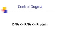 Bacterial Physiology (Micr430) Lecture 8 Macromolecular Synthesis and Processing: DNA and RNA (Text Chapter: 10) -  ppt download