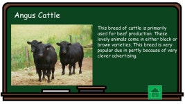 Welcome to Mrs. Glaser’s Agriculture Class Subject: ALS Season 1; Episode ppt download