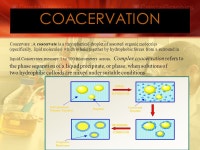 DISOVER THE SCIENCE OF : ~MICRO ENCAPSULATION~ GROUP- 9 ( BITO ) -  ppt download