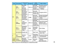 Cytokines and Chemokines Chapter 12 Karl A. Brokstad ppt download