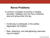 Chapter 14 Injuries to the Hip and Pelvis. Anatomy Review Primary hip structures Innominate bones. -  ppt download
