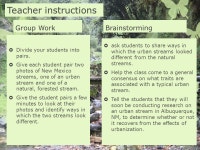 ENDANGERED ECOSYSTEMS A WEB-BASED LESSON PLAN FOR GRADES 6-12 By Angelique Maldonado and Nora Nevera. -  ppt download