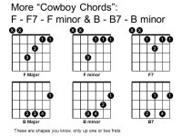 Cheap Tricks to Understanding Rock & Blues Guitar the decay-o-caster method for achieving minimal competence in as short a time... 
