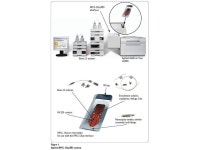 MSc elválasztástechnika előadás Horvai György. TÉMÁK Fehérjék és peptidek kromatográfiája UPLC HPLC emelt... 