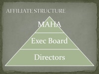 Michigan Amateur Hockey Association Minnkota Mid AmOther Affiliates USA Hockey. -  ppt download