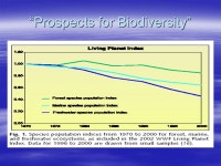 “Executive Summary” James G. Harris Professor, EE Department and CPE Program EE 563 Graduate Seminar October 22, ppt download