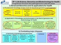Nationale Kontaktstelle Lebenswissenschaften National Contact Point LIFESCIHEALTH Dr. Wilfried Diekmann Königswinterer Str... 