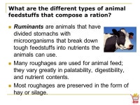 Animal, Plant & Soil Science Lesson C3-5 Feedstuffs. -  ppt download