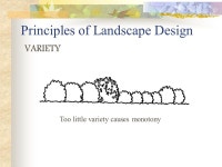 Artistic (Design) principles guide our artistic expression. Some are abstract – they can guide your thinking. Principles of... 