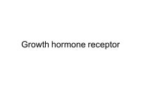 IGF in circulation The majority (> 75 %) exists as bound form –IGF binding proteins (IGFBPs) IGFBPs –6 proteins and several... 