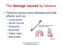 Sección Bilingüe CEIP COLÓN Córdoba 6º de Primaria Health Risks. -  ppt download