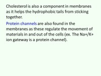 Cell walls and membranes The last part of this unit looks at cell walls and membranes. The diagram, on the next slide, lays out... 