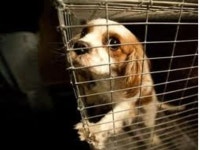 Reversing the Count. -  ppt download