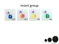 Genetic Jigsaw Class instructions. Start of lesson Divide the classes into 6 groups: – Origin of replication – Repressor gene... 