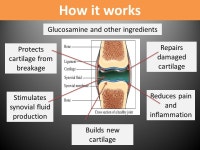 Addwell Ortho Care.  Ortho Care is a Dietary Supplement with Advanced Joint Support Formula  Beneficial in maintaining healthy... 