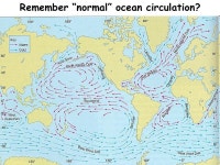 Remember “normal” ocean circulation? El Nino? (warm) Trade winds weaken Thermocline drops Upwelling is cut off SST rises in... 