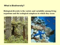 BY Dato’ Seri Dr. Salleh Mohd Nor TROPBIO RESEARCH SDN. BHD. BIODIVERSITY. -  ppt download