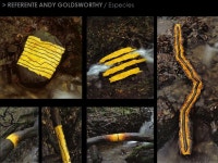 > FLORA Y FAUNA/ Cobertura Parque Nacional Radal Siete Tasas. -  ppt download