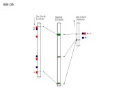 Zm Chr1 (50-200cM) SBI-01 Zm Chr5 (0-75cM) Zm Chr9 (40-100cM) ESM Figure S3. Sorghum/maize DTF QTL synteny between sorghum and... 