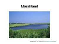 Lakes Water. Aerial Views of Lakes © Michael Collier, Image Source: Earth Science World Image BankEarth Science World Image... 