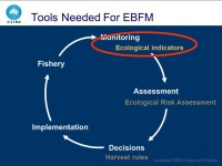 Indicators & EBFM in Australia Beth Fulton CSIRO Marine and Atmospheric Research. -  ppt download