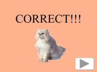 Vocabulary: Sam and the Bag and, in, oh, yes By Ms. Jena Carroll. -  ppt download