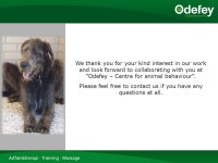 Presentation The Centre for Animal Behaviour ”Odefey Dyreadfærdscenter” Dorthe Odefey Professional Dog Behavioural... 