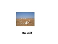 African Regional Implementation Workshop on Hazards and Disasters Dakar, Senegal September, ppt download