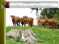 JAMES EVANS PARTRIDGE FARM, BISHOPS CASTLE. WALCOT FARM J. W. EVANS AND SONS South West Shropshire Family Partnership Walcot Farm... 