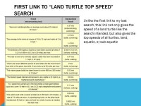 HOW FAST CAN A TURTLE RUN BY JOHN CALLAHAN & JACOB HARRIS. -  ppt download