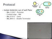 Tina Khoury Jeremy Gerbig Derek Blanchard Kerwin Dunham. -  ppt download