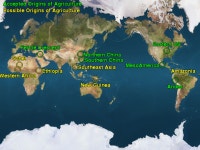 Economy, Globalization, Development, and Urbanization. -  ppt download